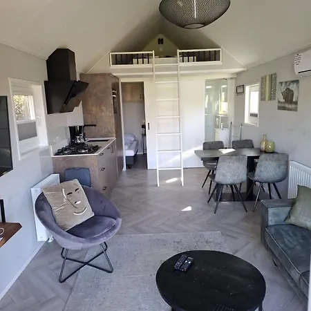 Tiny House 303